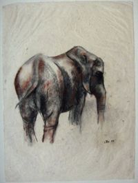 Elefant III