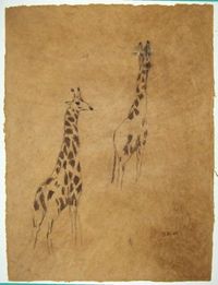 Giraffen